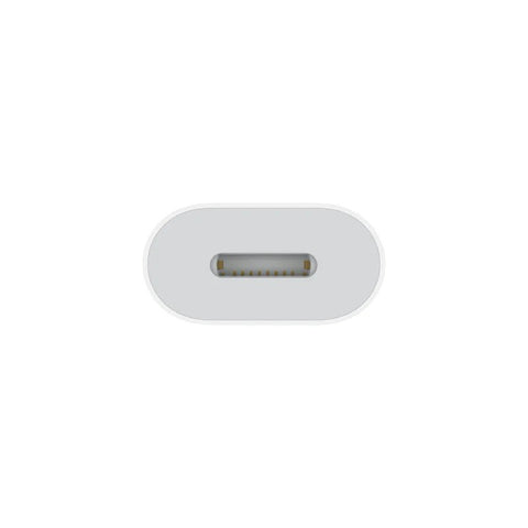 Apple USB-C to Lightning Adapter Apple Products