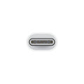 Apple USB-C to Lightning Adapter Apple Products