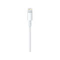 Apple USB-C to Lightning Cable - 1 Meter / White Apple Products