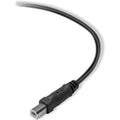 Belkin Premium Printer Cable 3Mtr - 10 Ft 4Pin USB Type B to 4Pin USB Type A - Molded ColorWaves