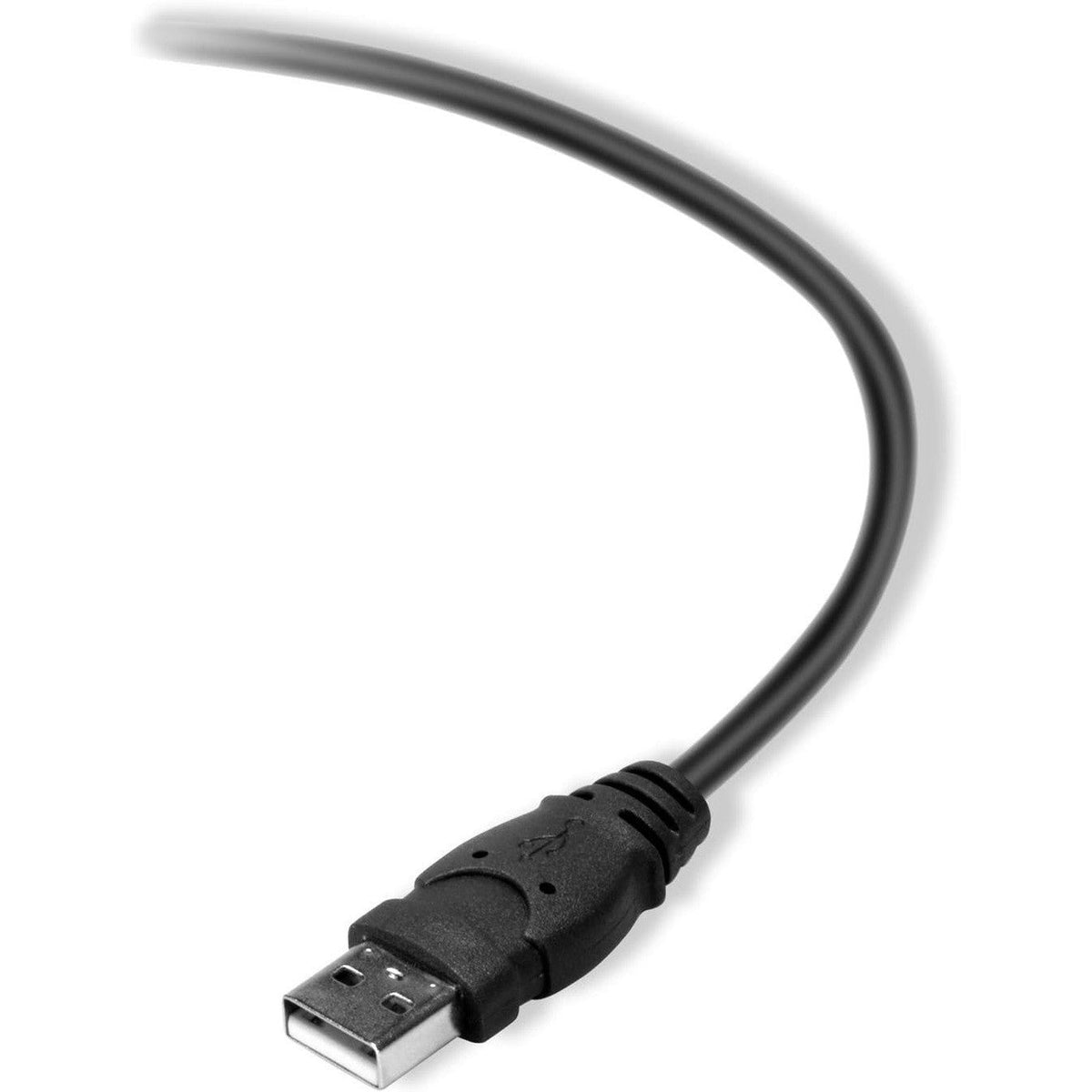 Belkin Premium Printer Cable 3Mtr - 10 Ft 4Pin USB Type B to 4Pin USB Type A - Molded ColorWaves