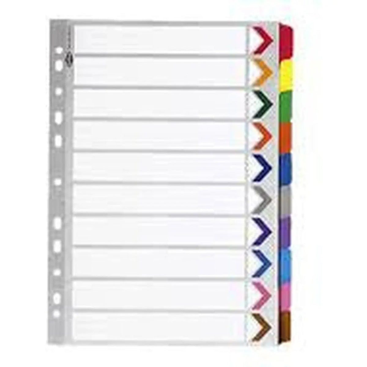 Divider 1To12 Without Number Colour ColorWaves