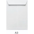 Envelope 17.5*14.5 Brown Or White Pack Of 50 ColorWaves