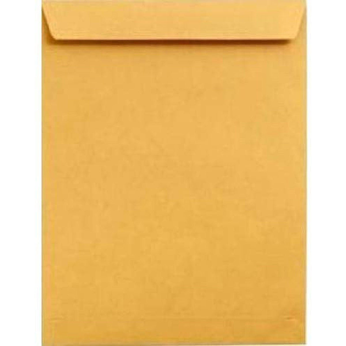 Envelope A4 Brown Or White Pack Of 50 12 x 10 inch ColorWaves