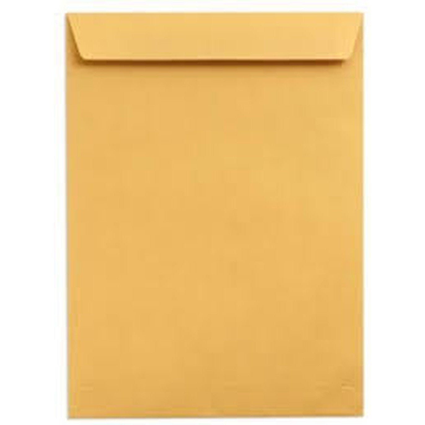 Envelope Fs 10X15 Brown Or White Sinarline Pack Of 50 ColorWaves