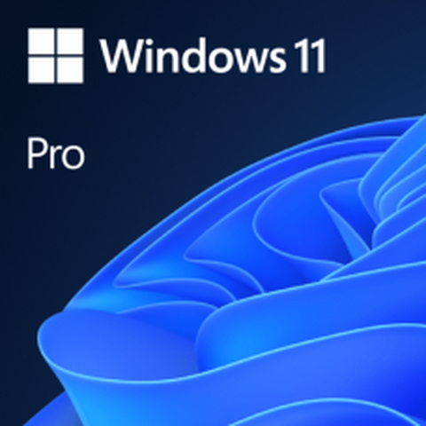Microsoft Windows 11 Professional 64Bit (Oem) Fqc-10528 ColorWaves