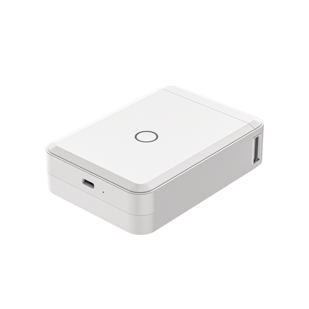 NIIMBOT D110 Smart thermal label printer ColorWaves