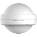Wi-Fi 5 Ac1300 Outdoor Omni-Directional Access Point Rg-Rap6202(G) Ruijie